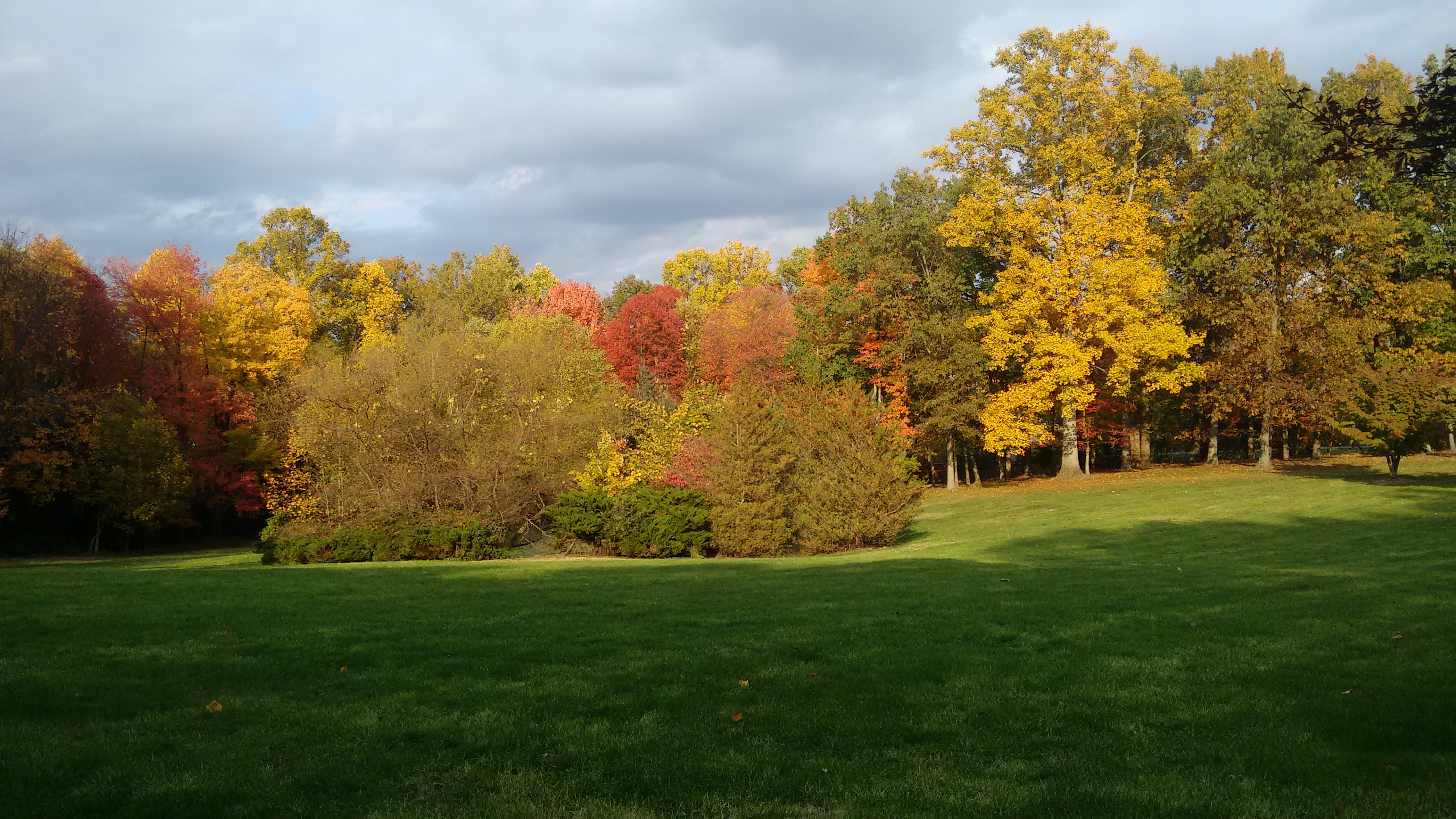 Front Pond Area